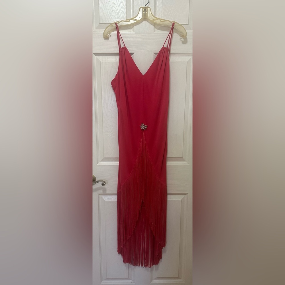 Elegant Lilli Diamond vintage hi-low  Pink Dress with Broach & Fringe Detail